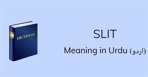 slits meaning in urdu